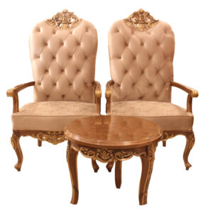 Modern Royal Chair Set